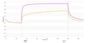 Anti-SLC11A2 Antibody, clone 3F18 ZooMAb® Rabbit Monoclonal recombinant, expressed in HEK 293 cells