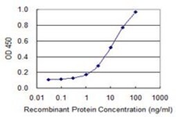 Monoclonal Anti-EGLN2 antibody produced in mouse clone 2G3, purified immunoglobulin, buffered aqueous solution
