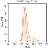 Anti-RABV Glycoprotein Antibody, clone D1-25 ZooMAb® Mouse Monoclonal recombinant, expressed in HEK 293 cells