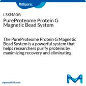 PureProteome蛋白G磁珠系统 The PureProteome Protein G Magnetic Bead System is a powerful system that helps researchers purify proteins by maximizing recovery and eliminating variability