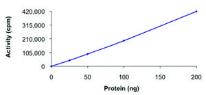 p70S6Kb, active, GST tagged human PRECISIO® Kinase, recombinant, expressed in baculovirus infected Sf9 cells, ≥70% (SDS-PAGE), buffered aqueous glycerol solution