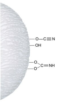 Cyanogen bromide-activated-Sepharose&#8482; 4B lyophilized powder