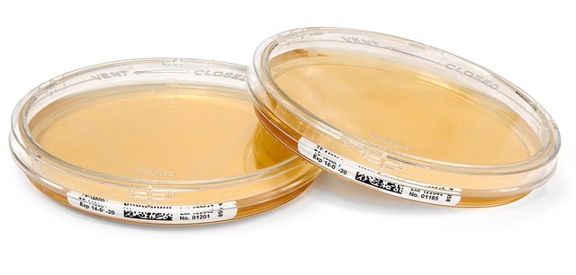 Tryptic Soy Agar ICR+ 90 mm diameter,triple-bagged, irradiated with a locking lid for use in cleanroom environment.