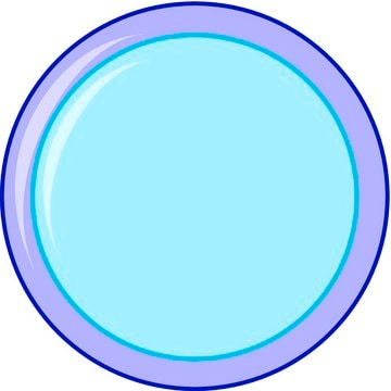 TurboBeads&#8482; Silica extent of labeling: SiO2 loading (Silica coating))