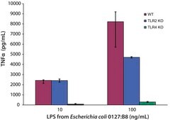 脂多糖 来源于大肠杆菌 0127:B8 purified by ion-exchange chromatography, TLR ligand tested