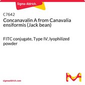 Concanavalin A from Canavalia ensiformis (Jack bean) FITC conjugate, Type IV, lyophilized powder