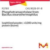 Phosphotransacetylase from Bacillus stearothermophilus lyophilized powder, ≥3,000 units/mg protein (biuret)