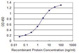 Monoclonal Anti-FXC1, (C-terminal) antibody produced in mouse clone 1A11, purified immunoglobulin, buffered aqueous solution