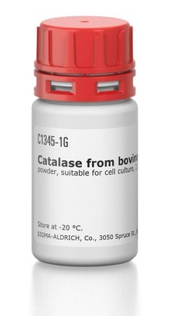 过氧化氢酶 来源于牛肝脏 powder, suitable for cell culture, 2,000-5,000&#160;units/mg protein