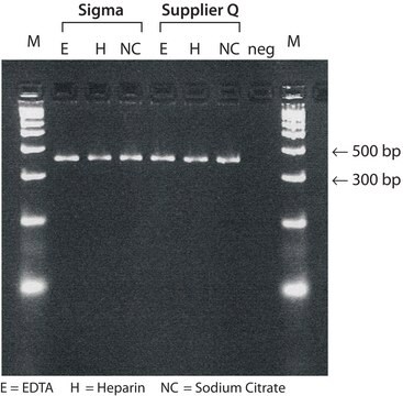 GenElute&#8482; Blood Genomic DNA Kit sufficient for 350&#160;purifications