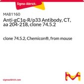 Anti-gC1q-R/p33 Antibody, CT, aa 204-218, clone 74.5.2 clone 74.5.2, Chemicon®, from mouse