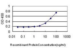 Monoclonal Anti-CDCA3 antibody produced in mouse clone 4A10, purified immunoglobulin, buffered aqueous solution