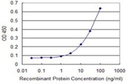 Monoclonal Anti-ZNF238 antibody produced in mouse clone 4E4, purified immunoglobulin, buffered aqueous solution