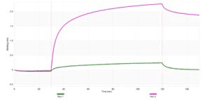 Anti-NUCB1 Antibody, clone 1F16 ZooMAb® Rabbit Monoclonal recombinant, expressed in HEK 293 cells