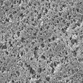 Nylon Membrane Filter, 0.2 &#956;m Pore Size Millipore, filter diam. 47&#160;mm, hydrophilic
