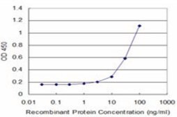 Monoclonal Anti-GAP43 antibody produced in mouse clone 3C11, purified immunoglobulin, buffered aqueous solution