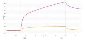 Anti-IRF-4 Antibody, clone 1E10 ZooMAb® Rabbit Monoclonal recombinant, expressed in HEK 293 cells