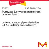 丙酮酸脱氢酶 来源于猪心脏 buffered aqueous glycerol solution, 0.1-1.0 units/mg protein (Lowry)