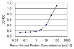 ANTI-BRAF antibody produced in mouse clone 4F4, purified immunoglobulin, buffered aqueous solution