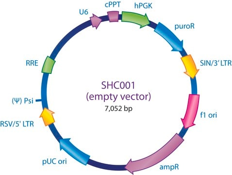 MISSION&#174; pLKO.1-puro Empty Vector Control Plasmid DNA Contains no shRNA insert