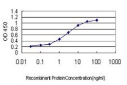 Monoclonal Anti-CDX4 antibody produced in mouse clone 3H8, purified immunoglobulin, buffered aqueous solution