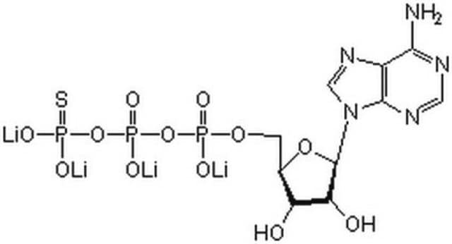 腺苷5&#8242;-O-(3-硫代三磷酸)，四锂盐 A relatively stable, slowly hydrolyzable ATP analog that can substitute for ATP in various kinase reactions. Used as a substrate and as an inhibitor of ATP-dependent enzyme systems.