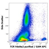 Monoclonal Anti-TCR Vdelta2 purified produced in mouse