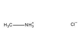 甲基氯化铵 for synthesis