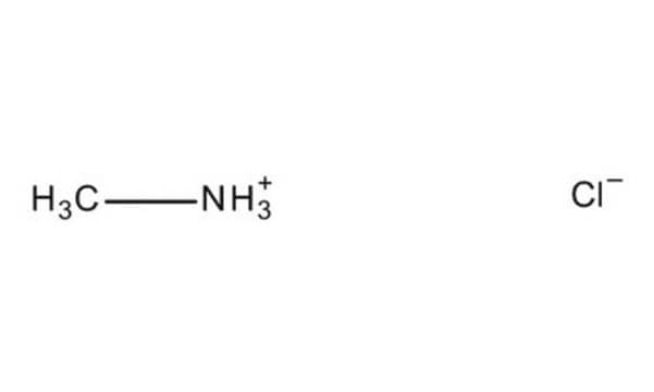 甲基氯化铵 for synthesis