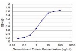 Monoclonal Anti-CCL3 antibody produced in mouse clone 4E7, purified immunoglobulin, buffered aqueous solution
