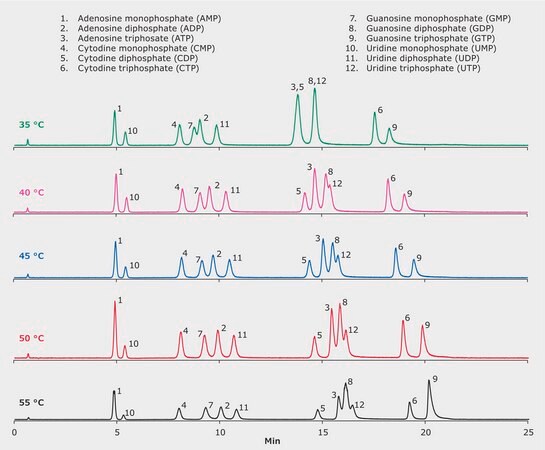 LC/MS of Nucleotides on SeQuant® ZIC-cHILIC. Effect of Temperature. application for LC-MS