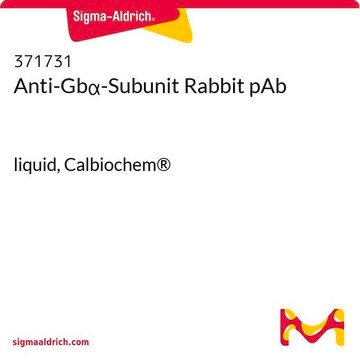 Anti-Gs&#945;-Subunit Rabbit pAb liquid, Calbiochem&#174;