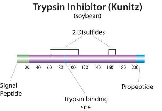 Trypsin inhibitor from Glycine max (soybean) For use as a marker in SDS-PAGE, BioReagent