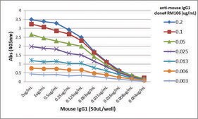 Anti-Mouse IgG1-Biotin antibody, Rabbit monoclonal recombinant, expressed in HEK 293 cells, clone RM106, purified immunoglobulin
