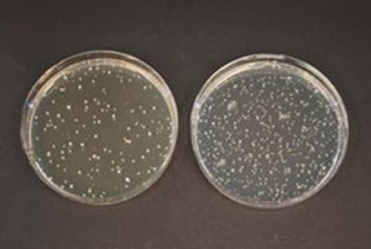 TOS-propionate agar medium (acc. ISO) suitable for microbiology, NutriSelect&#174; Plus
