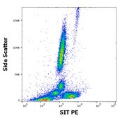 Monoclonal Anti-SIT1-PE antibody produced in hamster clone SIT-01, purified immunoglobulin, buffered aqueous solution