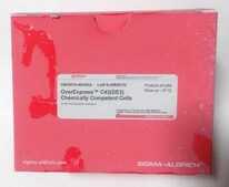 过表达&#8482; C41 (DE3) pLysS 化学感受态细胞 for the highest protein expression