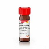 Trypsin−Agarose buffered aqueous suspension, from bovine pancreas trypsin