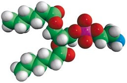 06:0 PE 1,2-dihexanoyl-sn-glycero-3-phosphoethanolamine, powder