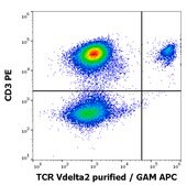 Monoclonal Anti-TCR Vdelta2 purified produced in mouse