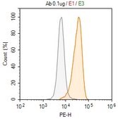 Anti-CD261/DR4 Antibody, clone 1B7 ZooMAb® Rabbit Monoclonal recombinant, expressed in HEK 293 cells