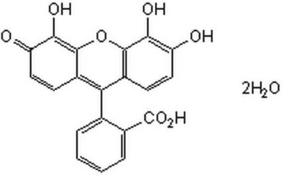 G&#946;&#947; Modulator II, Gallein A cell-permeable xanthene compound that binds to G&#946;&#947; with high affinity (Kd ~400 nM derived from a surface plasma resonance binding study using G&#946;1&#947;2) and blocks G&#946;&#947;-dependent cellular activities.