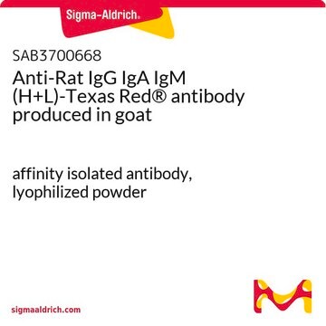 Anti-Rat IgG IgA IgM (H+L)-Texas Red&#174; antibody produced in goat affinity isolated antibody, lyophilized powder