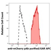 Anti-mCherry produced in rabbit