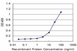 Monoclonal Anti-MARK3 antibody produced in mouse clone 1A10, purified immunoglobulin, buffered aqueous solution