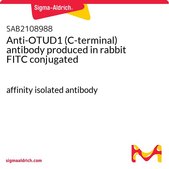 Anti-OTUD1 (C-terminal) antibody produced in rabbit FITC conjugated affinity isolated antibody