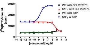ChemiSCREEN Membrane Preparation Recombinant Human S1P1 Lysophospholipid Receptor Human S1P1 / EDG1 GPCR membrane preparation for Radioligand binding Assays &amp; GTPγS binding.
