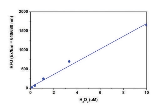 过氧化氢检测试剂盒（荧光法） sufficient for 500 fluorometric&nbsp;tests (infrared fluorescence)