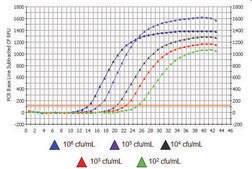 GenElute&#8482;水体RNA/DNA纯化试剂盒- 0.45 &#956;m