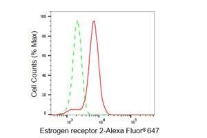 Anti Estrogen receptor 2 Antibody, clone 23GB5755, Rabbit Monoclonal clone 23GB5755, recombinant rabbit monoclonal, expressed in HEK293 cells